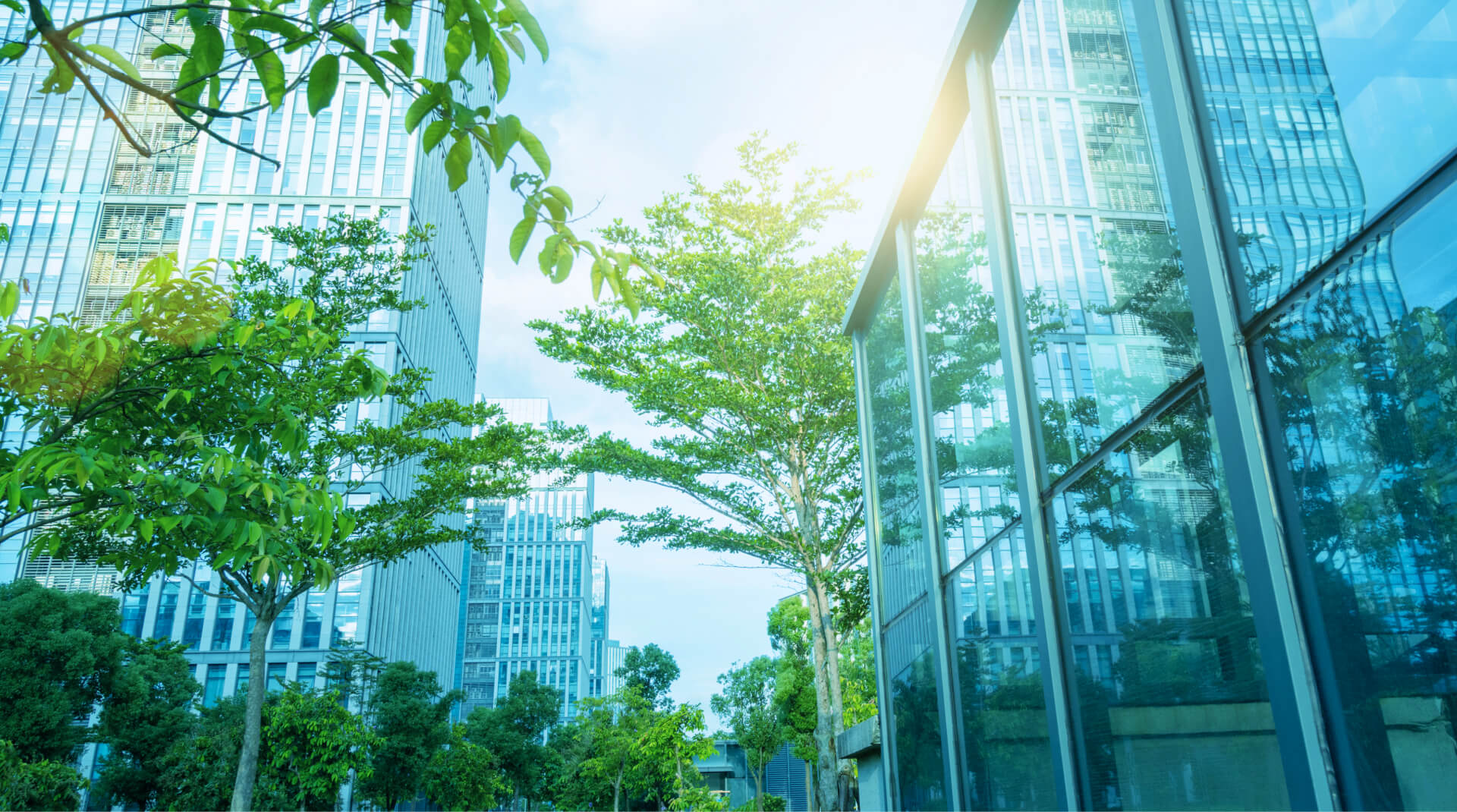 オフィス街の写真